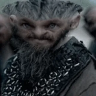 😐 d6eb1b7f barbe, portrait, personne, visage, vikings, historique whatsapp sticker