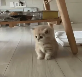 @tnstorii ഒ 🎂✦  ִֶָ𓏲࣪ ⭐ ༉ 𓂃 :: @fStikBot whatsapp stickers