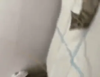 😏 d759329c whatsapp sticker