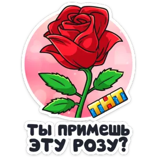 🌹 d118f5ce Ты примешь эту розу? バラ, TNT, ロマンチック, 花, 愛, 質問 telegram sticker