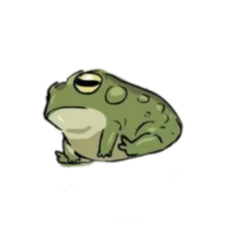🤐 252c6f65 青蛙, 动物, 两栖动物, 卡通, 绿色 whatsapp sticker