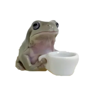 🥱 de361106 青蛙, 动物, 可爱, 喝, 茶, 咖啡, 杯子 whatsapp sticker