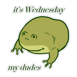 😊 2da225d8 it's Wednesday my dudes 青蛙, 星期三, 表情包, 动物, 搞笑 whatsapp sticker