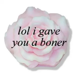 🍄 c327f0b8 lol i gave you a boner Mawar, Menyinggung, Humor, Stiker, Meme, Ereksi telegram sticker