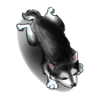 😖 95345c7a 狗, 哈士奇, 动物, 宠物, 可爱, 躺着 telegram sticker