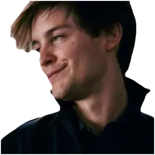 😈 7a0a4bb7 Peter Parker Spider-Man Spider-Man, Peter Parker, Tobey Maguire, smug, meme whatsapp sticker