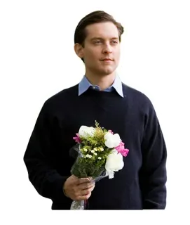 💐 dfa2433d Peter Parker Spider-Man uomo, fiori, bouquet, peter parker, attore, tobey maguire, spiderman whatsapp sticker