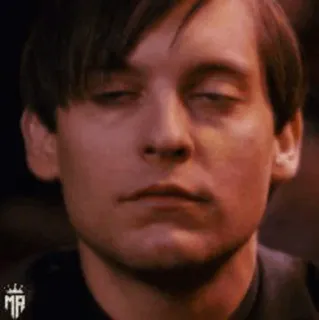 🕷 6e63a5a8 Tobey Maguire Spider-Man acteur, meme, man, Tobey Maguire, Spider-Man telegram sticker