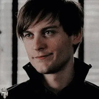 🕷 7dedb500 Peter Parker Spider-Man tobey maguire, spider-man, film, meme telegram sticker