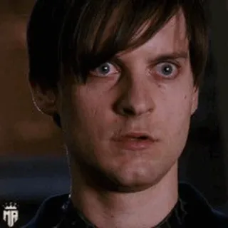 🕷 d935a0d6 Peter Parker Spider-Man geschrokken, verrast, meme, Tobey Maguire, grappig telegram sticker