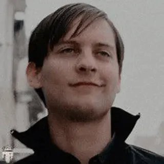 🕷 fccf6500 Peter Parker Spider-Man man, acteur, lach, smir, Tobey Maguire telegram sticker