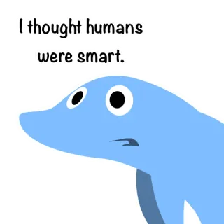 😣 f5d39886 I thought humans were smart. delfino, meme, divertente, sarcastico, umani, intelligente telegram sticker
