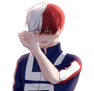 Todoroki - @blue_rose_sword telegram stickers