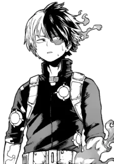 😒 ed9d1445 Shoto Todoroki My Hero Academia anime, manga, character, Shoto, Todoroki, My Hero Academia, superhero, fire, ice telegram sticker