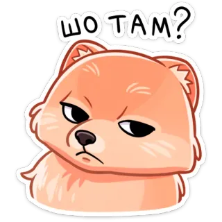 😠 3c93c21e ШО ТАМ? 狗, 动物, 宠物, 可爱, 贴纸, 梗, 表情, 卡通 telegram sticker