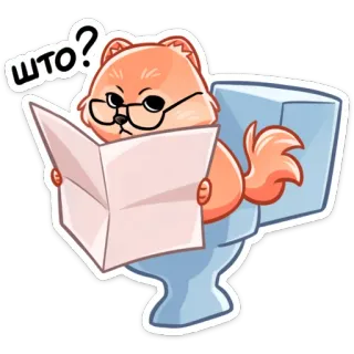 🚽 4694a543 ШТО? 狗, 阅读, 厕所, 问题, 眼镜, 动物, 卡通 telegram sticker