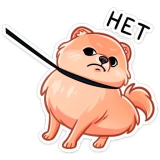🙅‍♂️ 4d5cfd38 HET 狗, 不, 不, 动物, 博美犬, 可爱 telegram sticker