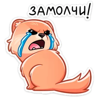 😤 a95099ad ЗАМОЛЧИ! 哭泣, 生气, 卡通, 狗, 雪貂, 文字, 俄语 telegram sticker