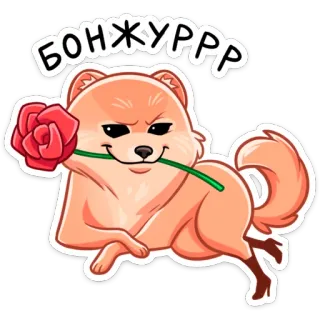 Принц Тоффи :: @stickroom telegram stickers