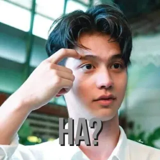 ❓ f6c9095a HA? 困惑, 疑問, ミーム, 表情, 顔 telegram sticker