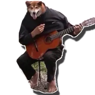 🎸 4603e52d chien, guitare, animal, mème, musique whatsapp sticker