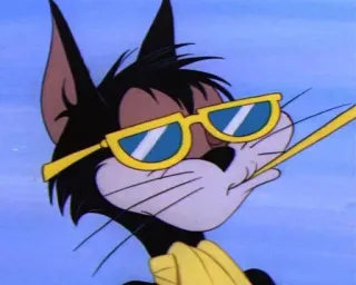😎 3dbb7a3d gato de dibujos animados, gafas de sol, guay, animación telegram sticker