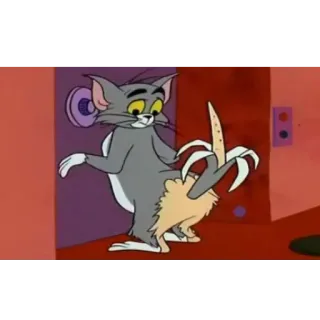 😟 0801a802 Tom Cat Tom and Jerry Kreskówka, Kot, Banan, Poślizgnięcie, Komedia, Slapstick telegram sticker