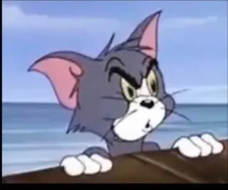 🤨 2563ed27 Tom Tom i Jerry, kreskówka, kot, postać, animacja telegram sticker
