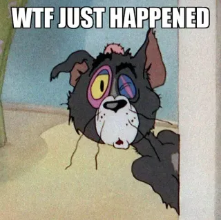 😶 40900f59 Tom Tom and Jerry WTF JUST HAPPENED Kreskówka, Kot, Zszokowany, Zdezorientowany, Śmieszne, Meme telegram sticker