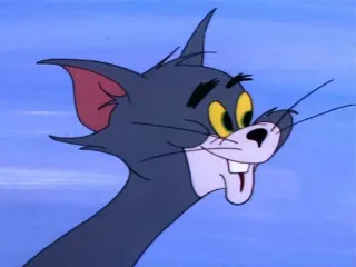 🥴 b209e677 Tom Cat Tom and Jerry kot, kreskówka, śmieszne, zwierzę, postać, Tom i Jerry telegram sticker