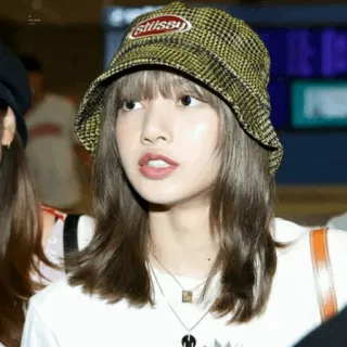 🌿 ce3819ad stussy 时尚, 帽子, stussy, 女士, 渔夫帽 telegram sticker