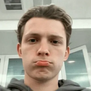 😐 83876d2a Tom Holland tom holland, actor, selfie, pout, celebrity telegram sticker