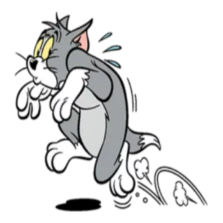😒 403ba0a8 Tom Cat Tom and Jerry Cartoon, Kat, Rennen, Bang, Tom en Jerry whatsapp sticker