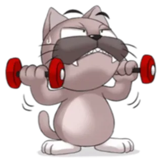 🏋 d6e0d2e0 kat, fitness, gewichtheffen, oefening, dumbbell, cartoon telegram sticker