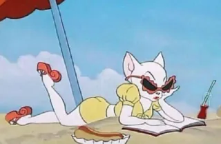 😎 b319836a การ์ตูน, แมว, ชายหาด, ฤดูร้อน, อาบแดด, แว่นกันแดด whatsapp sticker