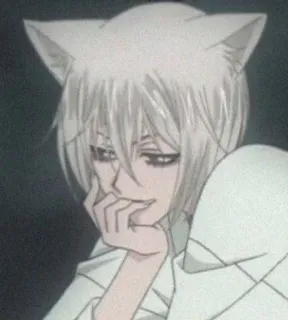 😏 01f8a858 Tomoe Kamisama Kiss อนิเมะ, ชาย, สุนัขจิ้งจอก, หู, เคโมะมิมิ, ยิ้ม, หล่อ, แฟนอาร์ต telegram sticker
