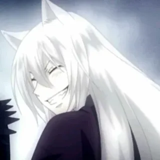 🤍 946da732 Anime, Lupo, Capelli bianchi, Furry telegram sticker