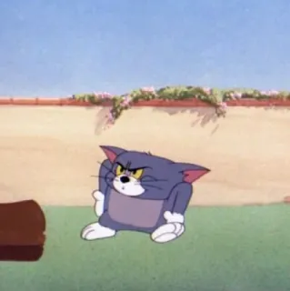 😜 081f21b6 Tom Cat cartoon, kat, boos, Tom en Jerry whatsapp sticker