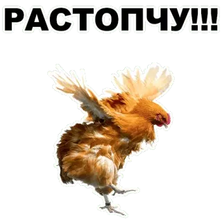 👊 1349143e РАСТОПЧУ!!! Huhn, Russisch, Vogel, Tier, Text telegram sticker