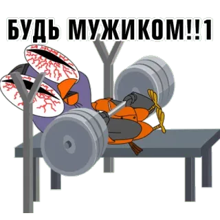 😎 5f177180 БУДЬ МУЖИКОМ!!1 Vogel, Gewichtheben, Training, Cartoon, Motivation, Fitnessstudio telegram sticker