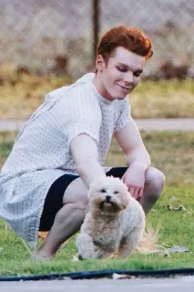 🌟 63d15066 Mann, Hund, Krankenhauskittel, Haustier, Gras, Tag whatsapp sticker