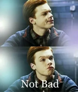 🌟 7641ecc7 Not Bad Meme, Nicht schlecht, Zustimmung, Positiv whatsapp sticker