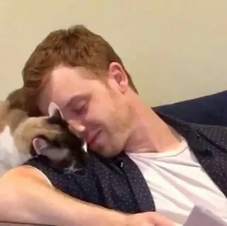 🌟 efc46c6e Mann, Katze, Haustier, Zuneigung, Freundschaft, Tier, Haustier, Mensch, Säugetier whatsapp sticker