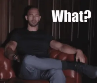 ☺️ 832eb046 What? Meme, Osoba, Pytanie, Wyraz, Siedzący telegram sticker