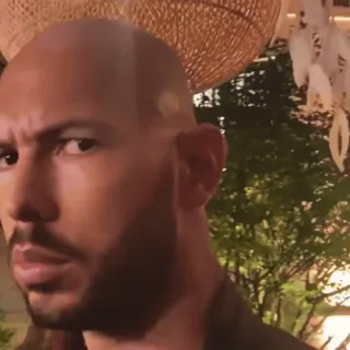 TOP G | @topgtg @emojis4 whatsapp stickers