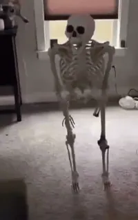 😂 0cbaf10c bộ xương, halloween, rùng rợn, xương, giải phẫu, kinh dị, ghê rợn telegram sticker