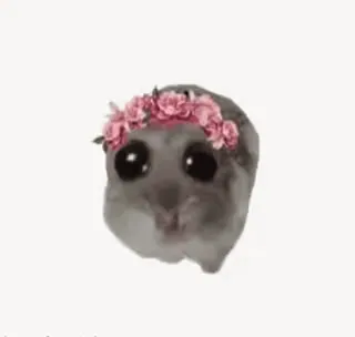 🥹 2ccb9a42 dễ thương, động vật, vòng hoa, chuột hamster telegram sticker