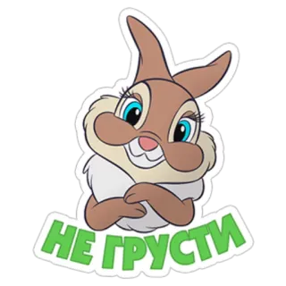 🙃 2da0a290 НЕ ГРУСТИ conejo, dibujo animado, lindo, conejito, animal, alegre telegram sticker