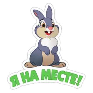 🤔 8f239a52 Я НА МЕСТЕ! conejo, dibujo animado, animal, ruso, texto telegram sticker