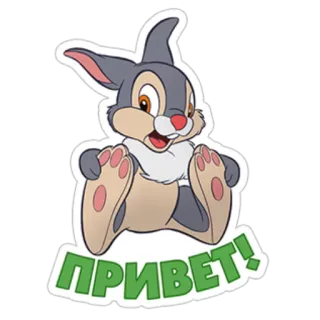 ✋ c7396e40 ПРИВЕТ! conejo, dibujos animados, saludo, hola, ruso telegram sticker